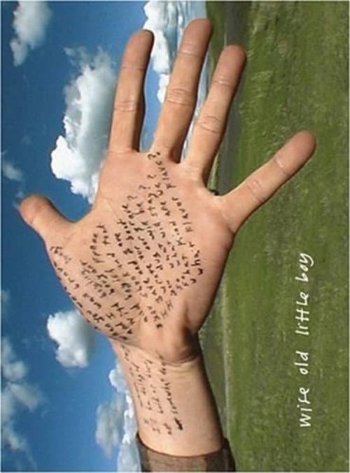 Wise Old Little Boy (2004) poster