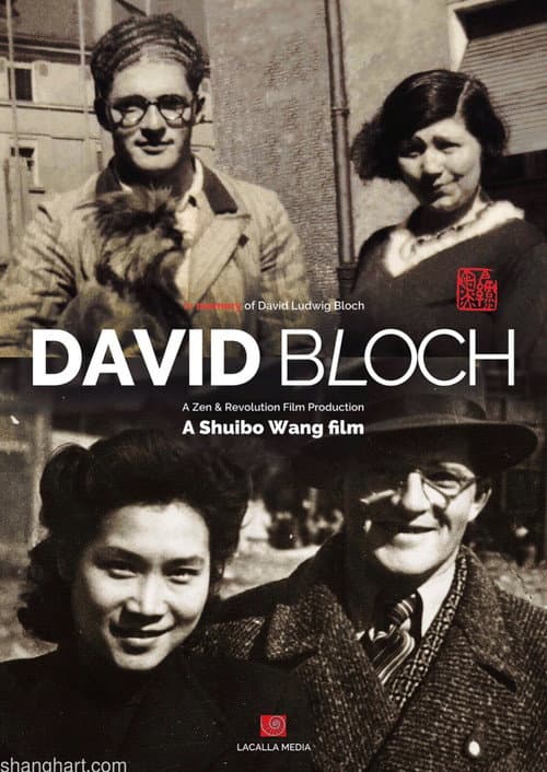 Who Is David Bloch (2025) poster