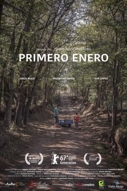 Primero Enero (2016) poster