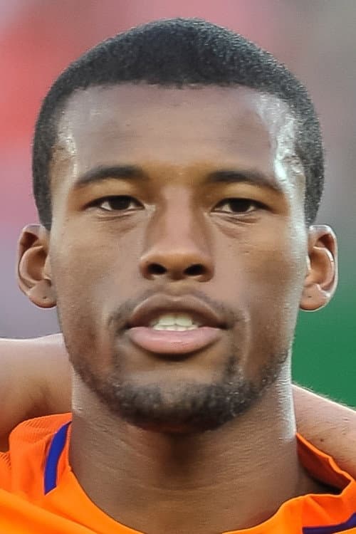 Georginio Wijnaldum foto