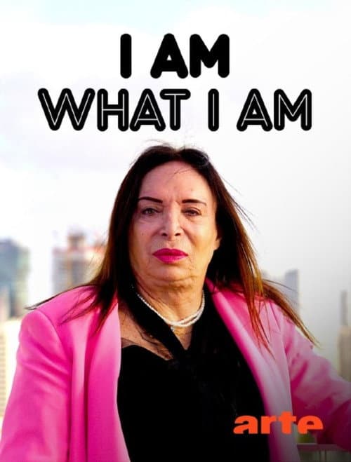 The First Lady (2025) poster