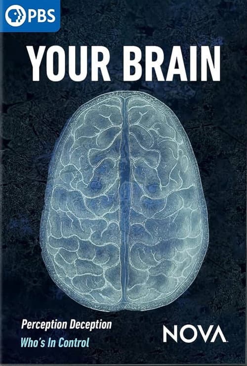 Your Brain (2023) poster