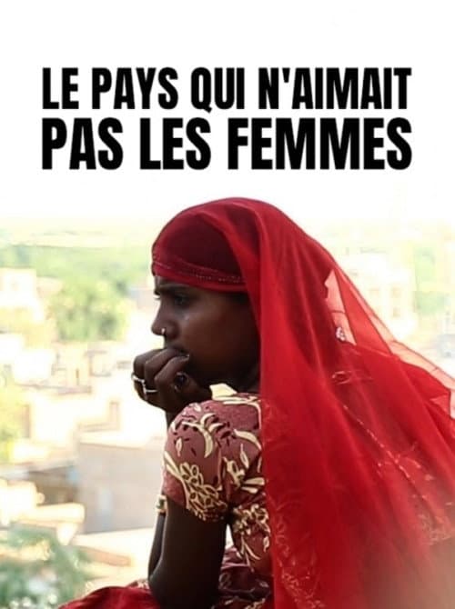 Le pays qui n'aimait pas les femmes (2013) poster