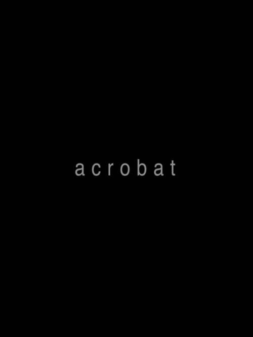 Acrobat (2012) poster