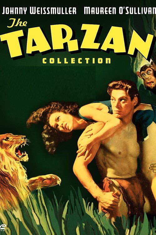 Tarzan: Silver Screen King of the Jungle (2004) poster