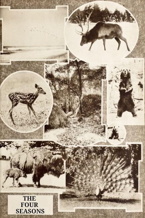The Four Seasons (1921) poster
