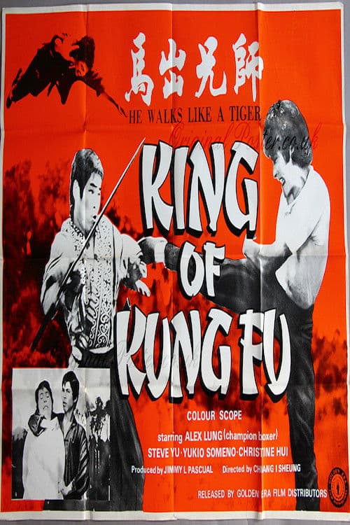 Shi xiong chu ma (1973) poster