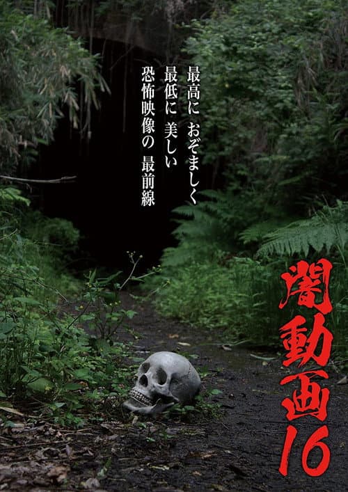 闇動画16 (2017) poster