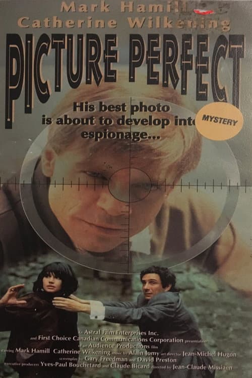 Une image de trop (1993) poster