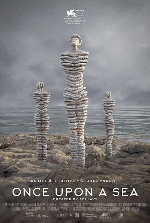 Once Upon a Sea (2020) poster