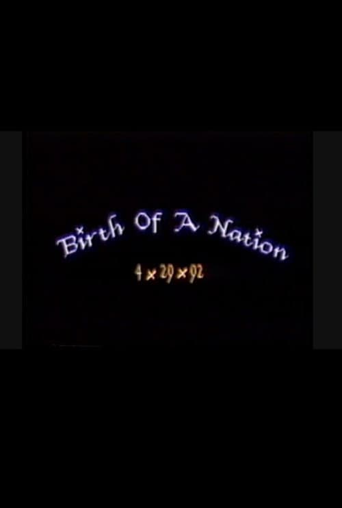 Birth of a Nation: 4.29.92 (1993) poster