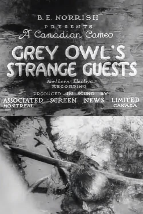 Grey Owl's Strange Guests (1934) poster
