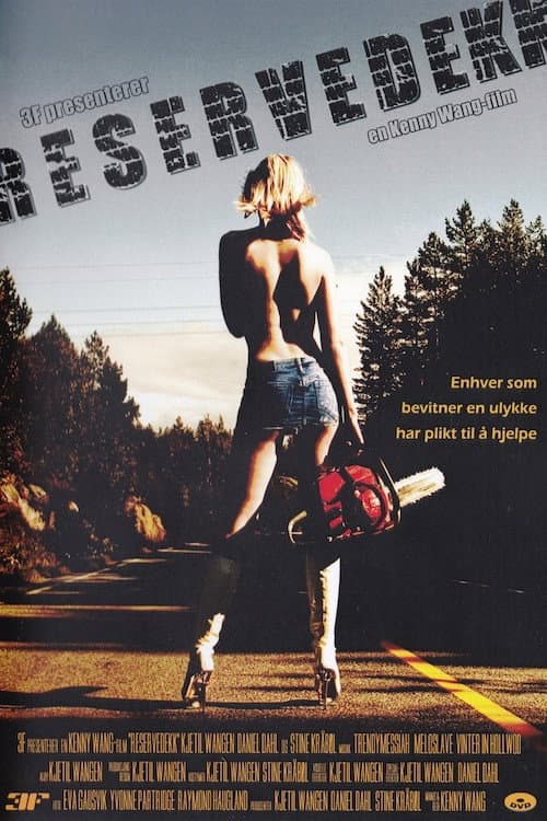 Reservedekk (2011) poster