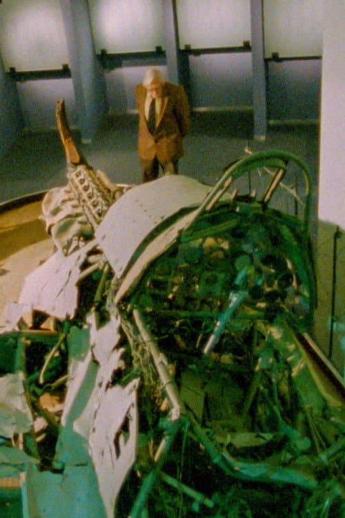 Miłość żąda ofiary (1991) poster