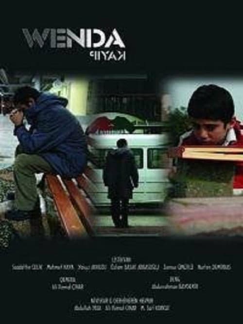 Wenda (2010) poster