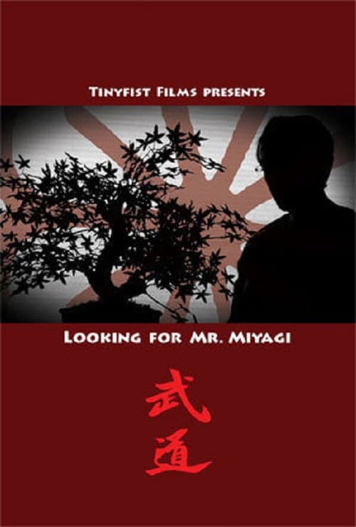 Looking for Mr. Miyagi (2014) poster