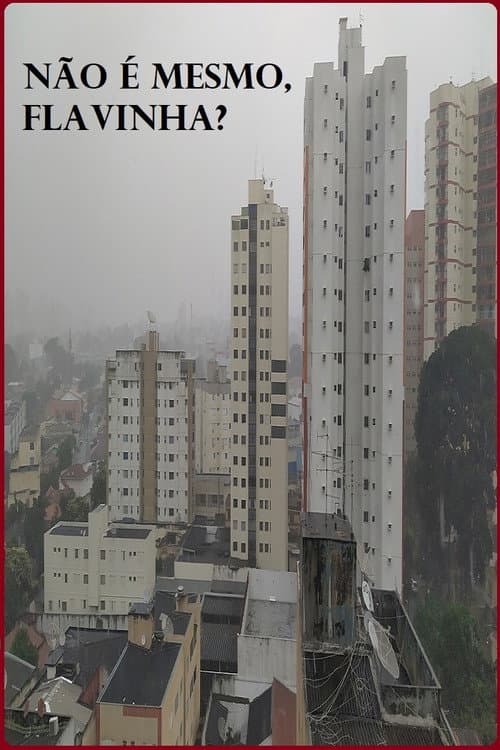 Não é mesmo, Flavinha? (2020) poster