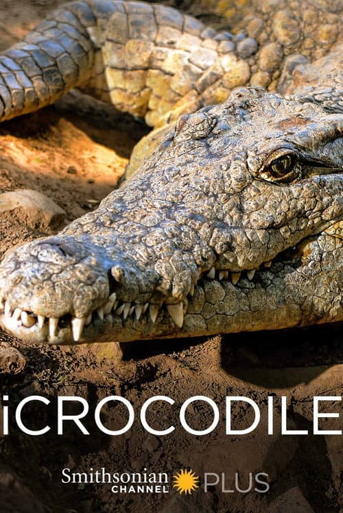 iCrocodile (2015) poster