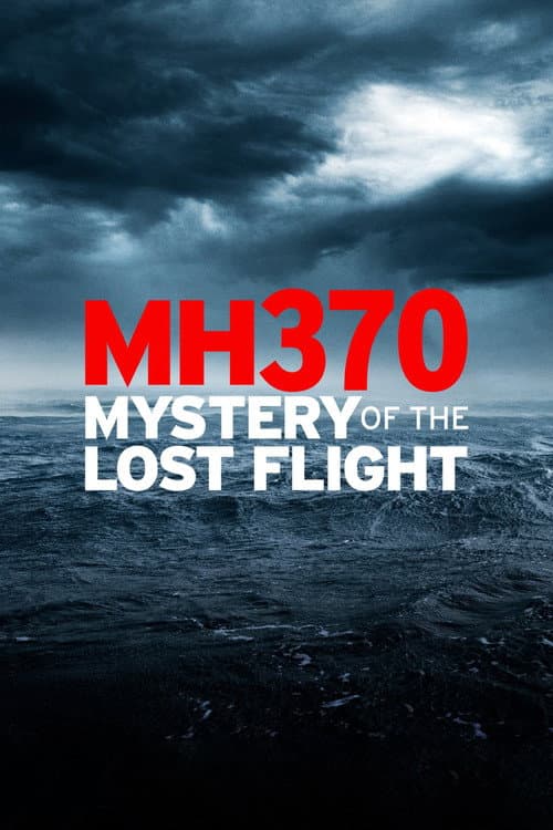 MH370: Mystery of the Lost Flight (2022) poster