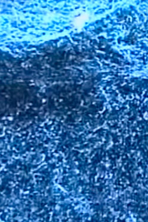 Microscopías (2003) poster