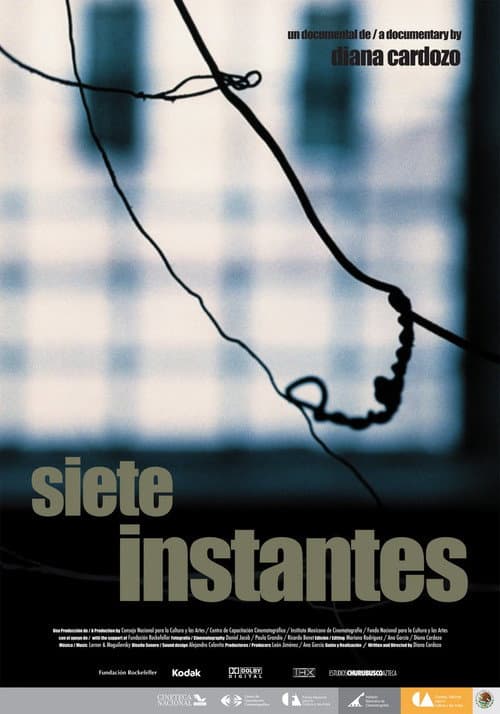 Siete instantes (2008) poster