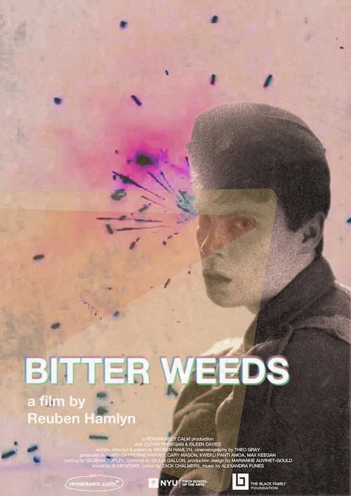 Bitter Weeds (2024) poster