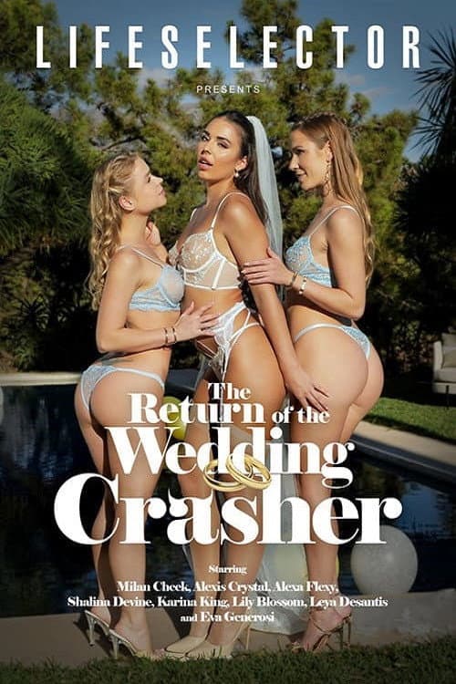 The Return of the Wedding Crasher (2024) poster