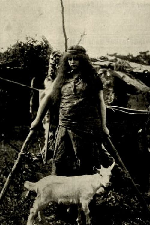 The Wife of Cain (1913) poster