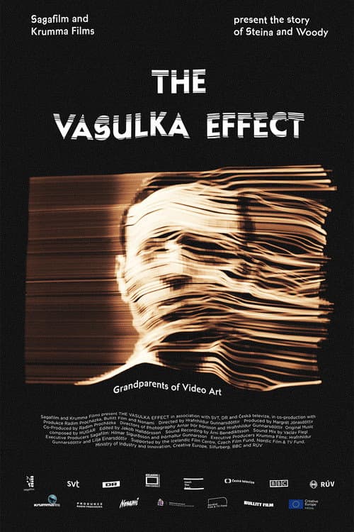 The Vasulka Effect (2020) poster
