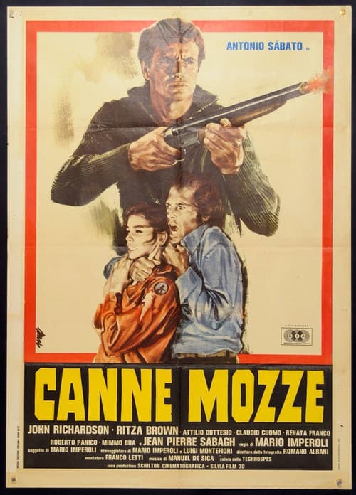 Canne mozze (1977) poster
