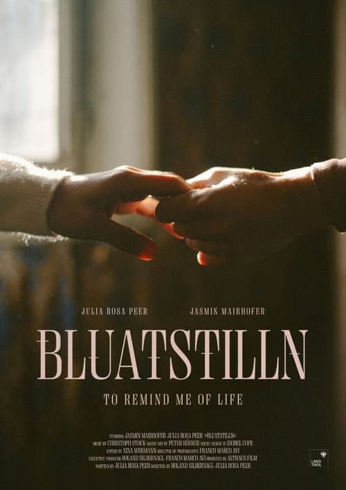 Bluatstilln (2025) poster