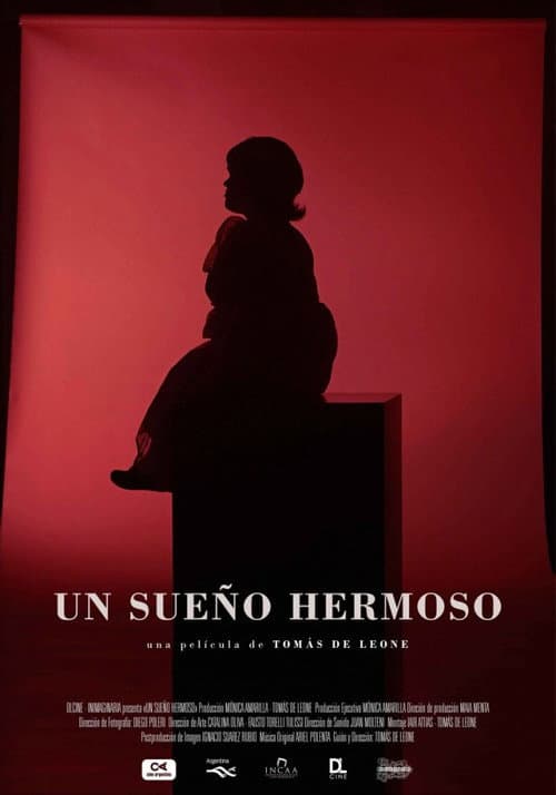 Un sueño hermoso (2020) poster