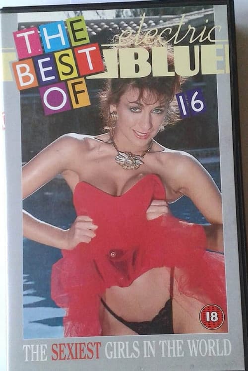 Electric Blue: The Best of Electric Blue 16 (1989) poster