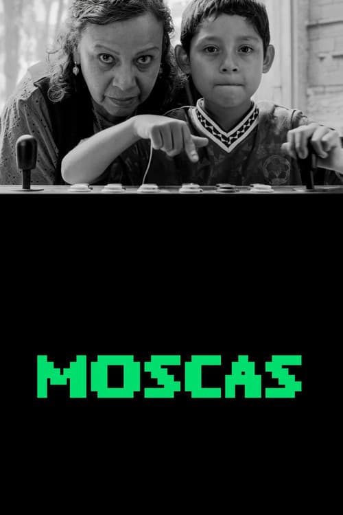 Moscas (2026) poster