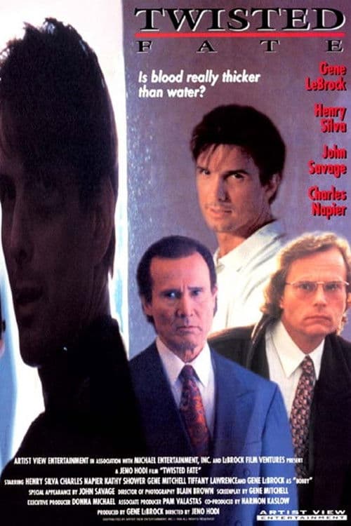 Twisted Fate (1995) poster