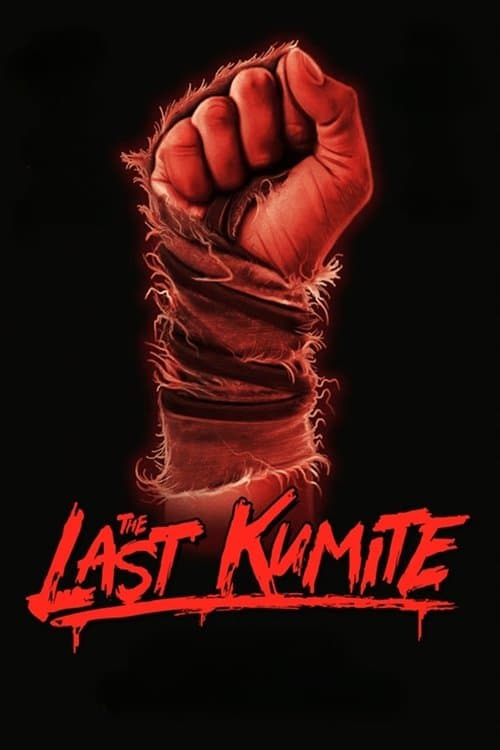 The Last Kumite (2024) poster