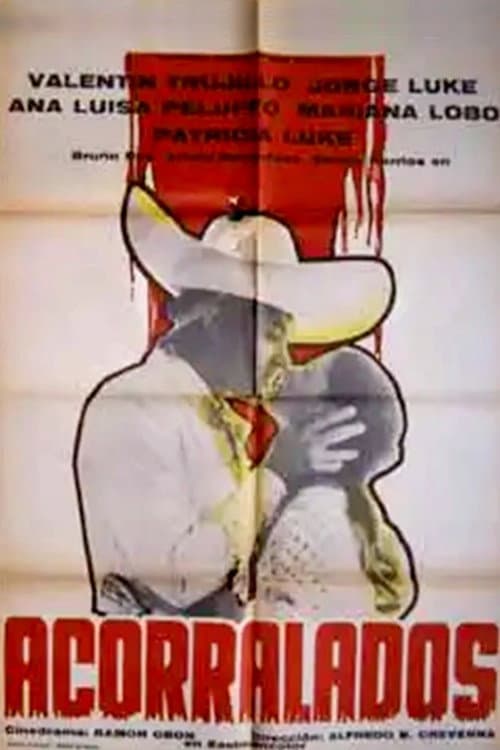 Acorralados (1976) poster