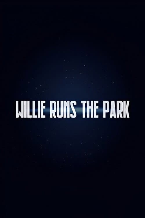 Willie Runs the Park (1915) poster