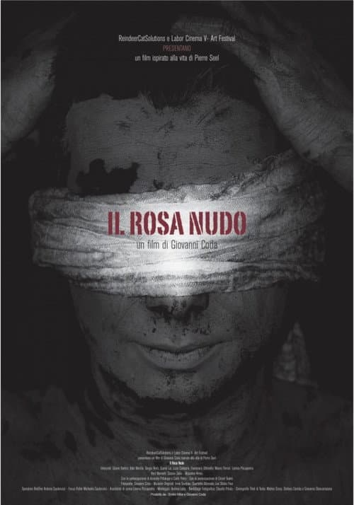 Il Rosa Nudo (2013) poster