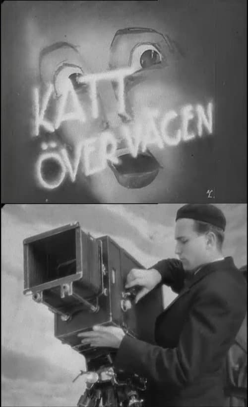 Katt över vägen (1937) poster
