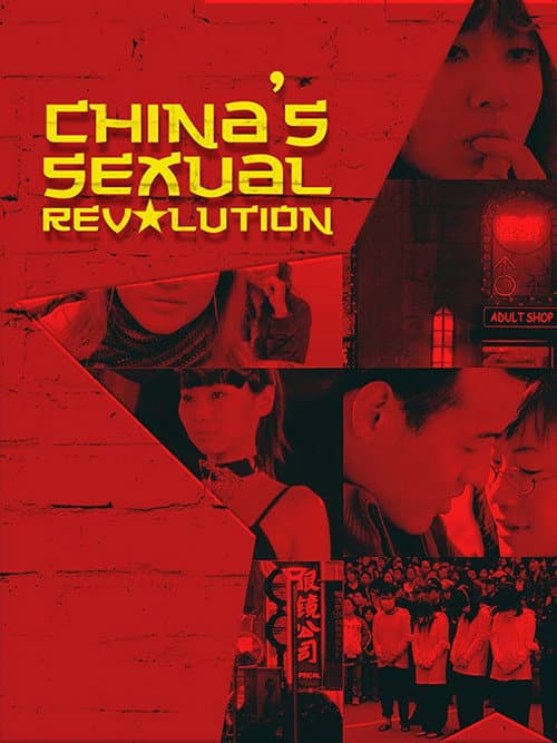 China's Sexual Revolution (2008) poster
