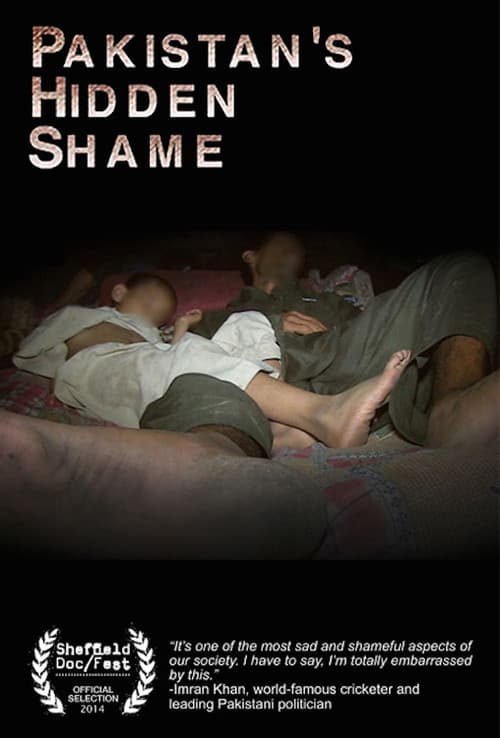 Pakistan's Hidden Shame (2014) poster