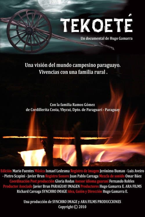 Tekoeté: Manera auténtica de ser (2010) poster