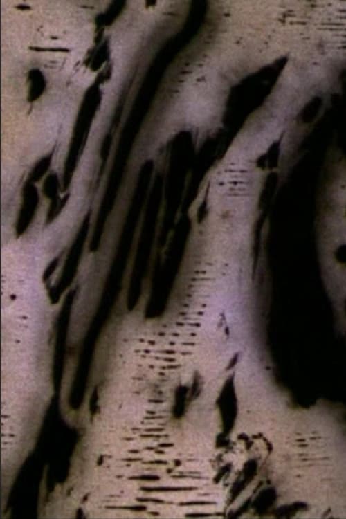 Mouvement de Lumière (2004) poster