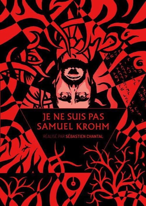 Je ne suis pas Samuel Krohm (2013) poster