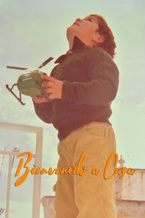 Bienvenido a casa (2017) poster
