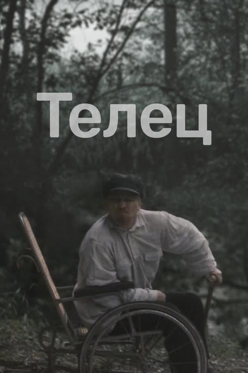 Телец (2001) poster