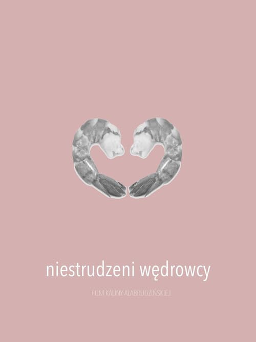 Niestrudzeni wędrowcy (2016) poster