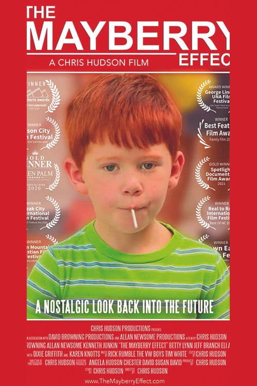 The Mayberry Effect (2021) poster