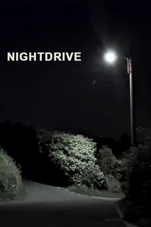 Nightdrive (2026) poster